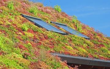 Ryton On Dunsmore living roof systems
